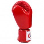 Перчатки боксерские Fairtex (BGV-19 red)
